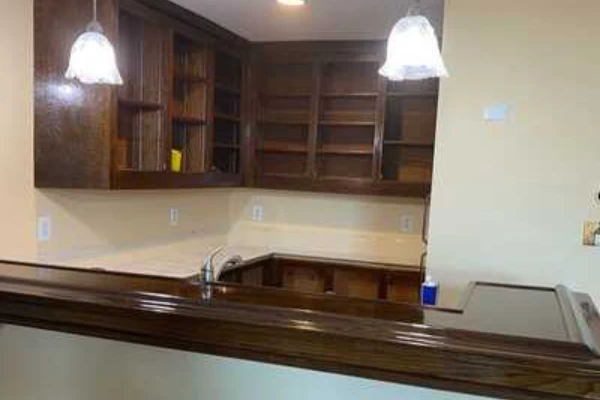 Professional handyman services