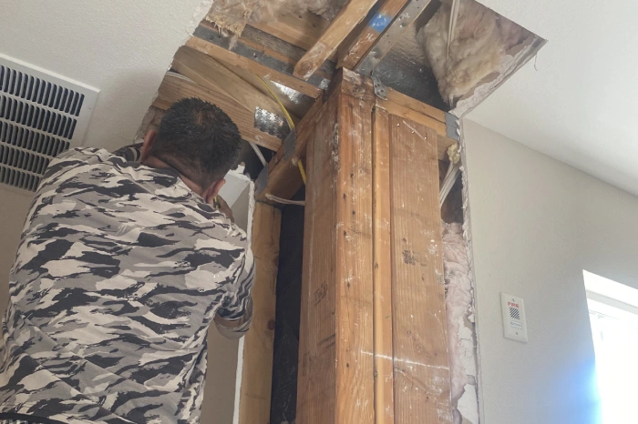 Professional handyman services